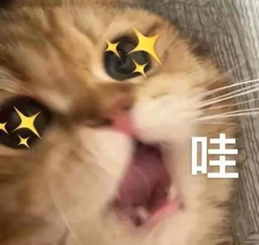 微信图片_20220303172525
